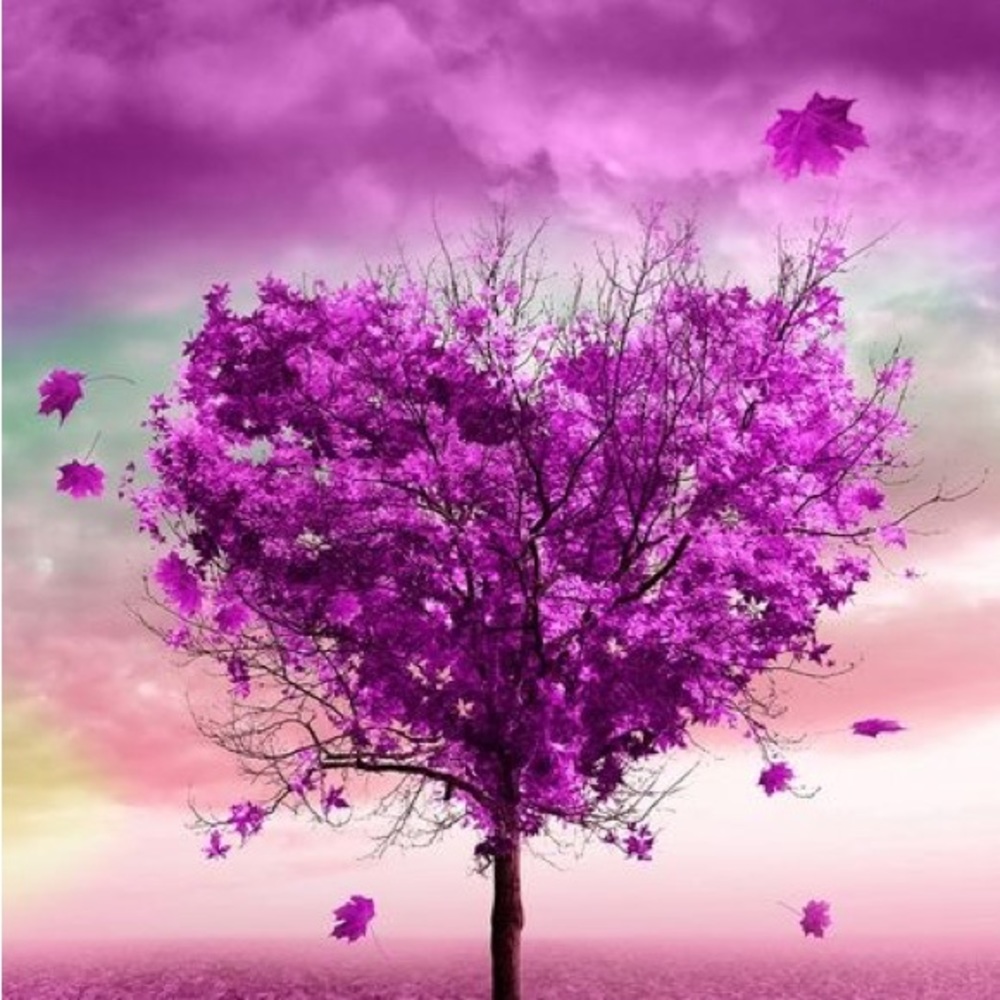 Meet your Posher, Mandy